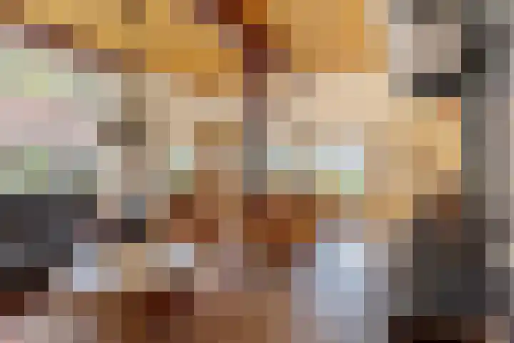 Honkerbosweg 4 De Heurne thumbnail 13