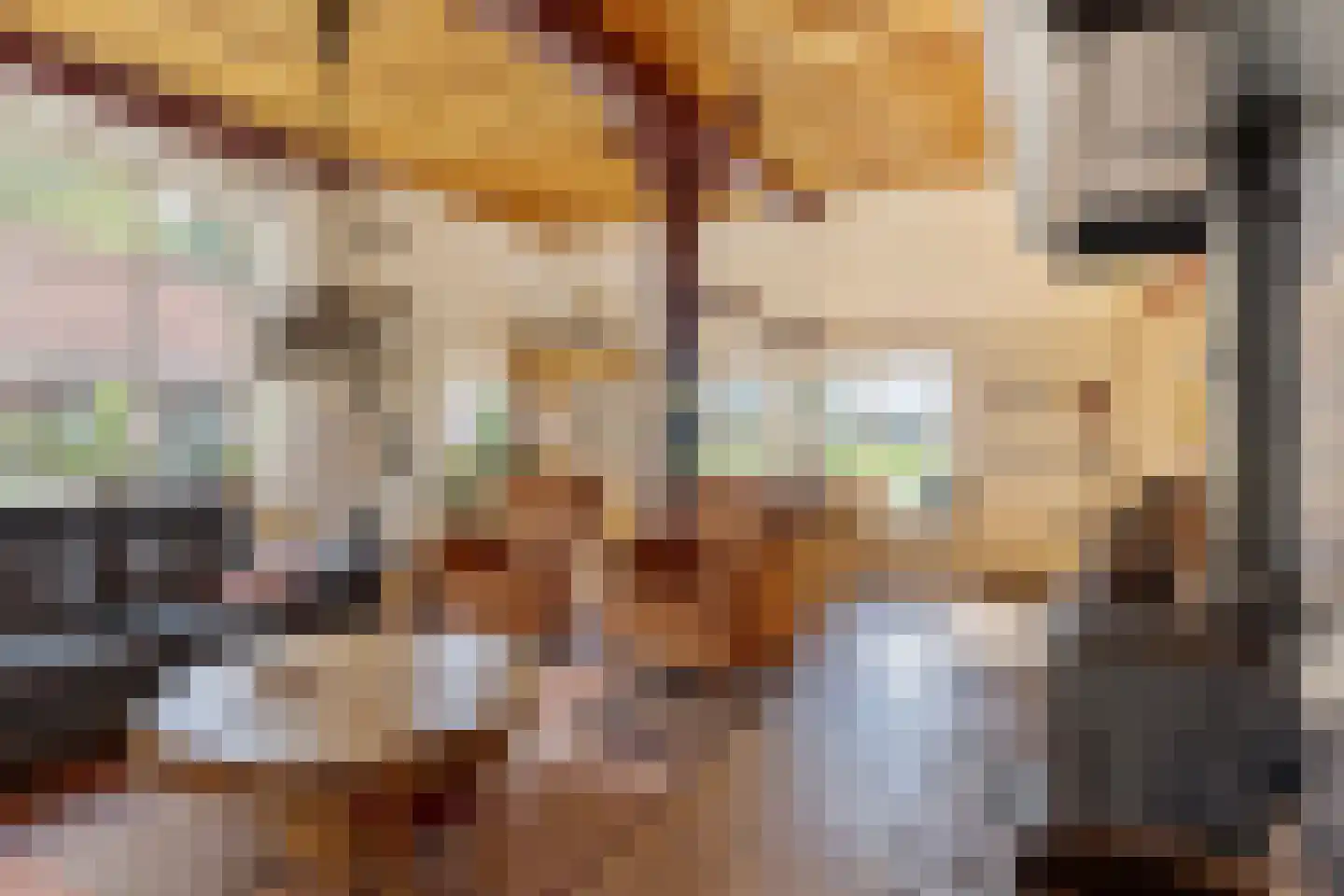 Honkerbosweg 4 De Heurne thumbnail 13