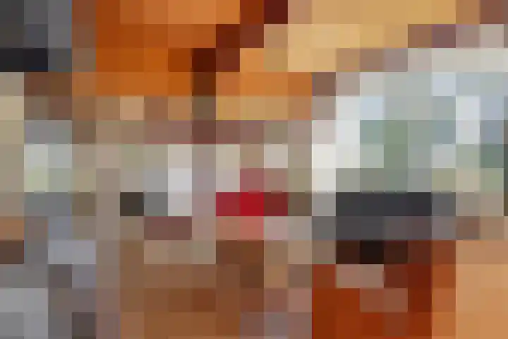 Honkerbosweg 4 De Heurne foto 3