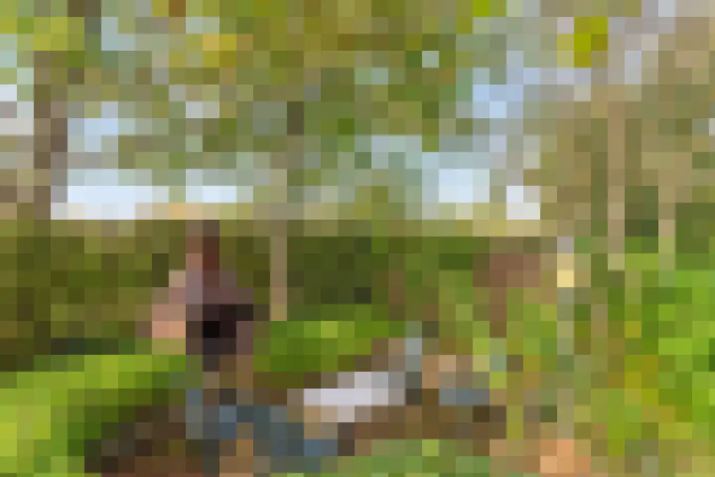 Honkerbosweg 4 De Heurne thumbnail 34