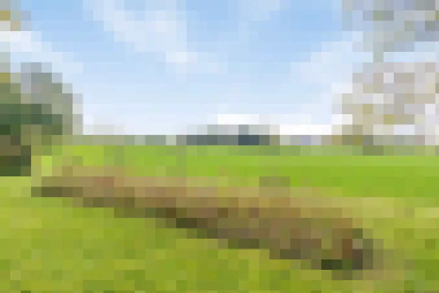 Honkerbosweg 4 De Heurne thumbnail 35