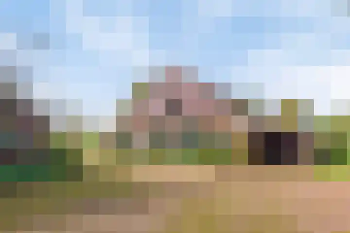 Honkerbosweg 4 De Heurne thumbnail 38