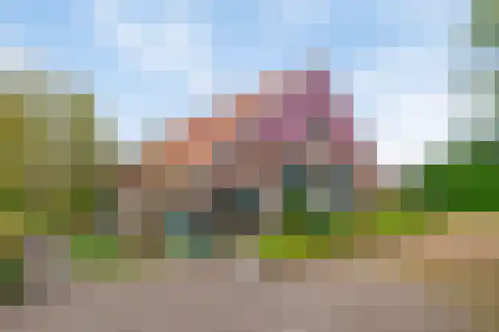 Honkerbosweg 4 De Heurne thumbnail 39
