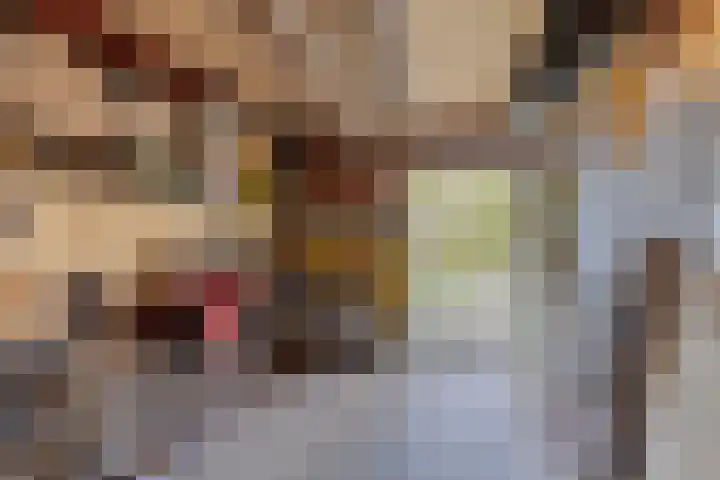 Honkerbosweg 4 De Heurne thumbnail 42