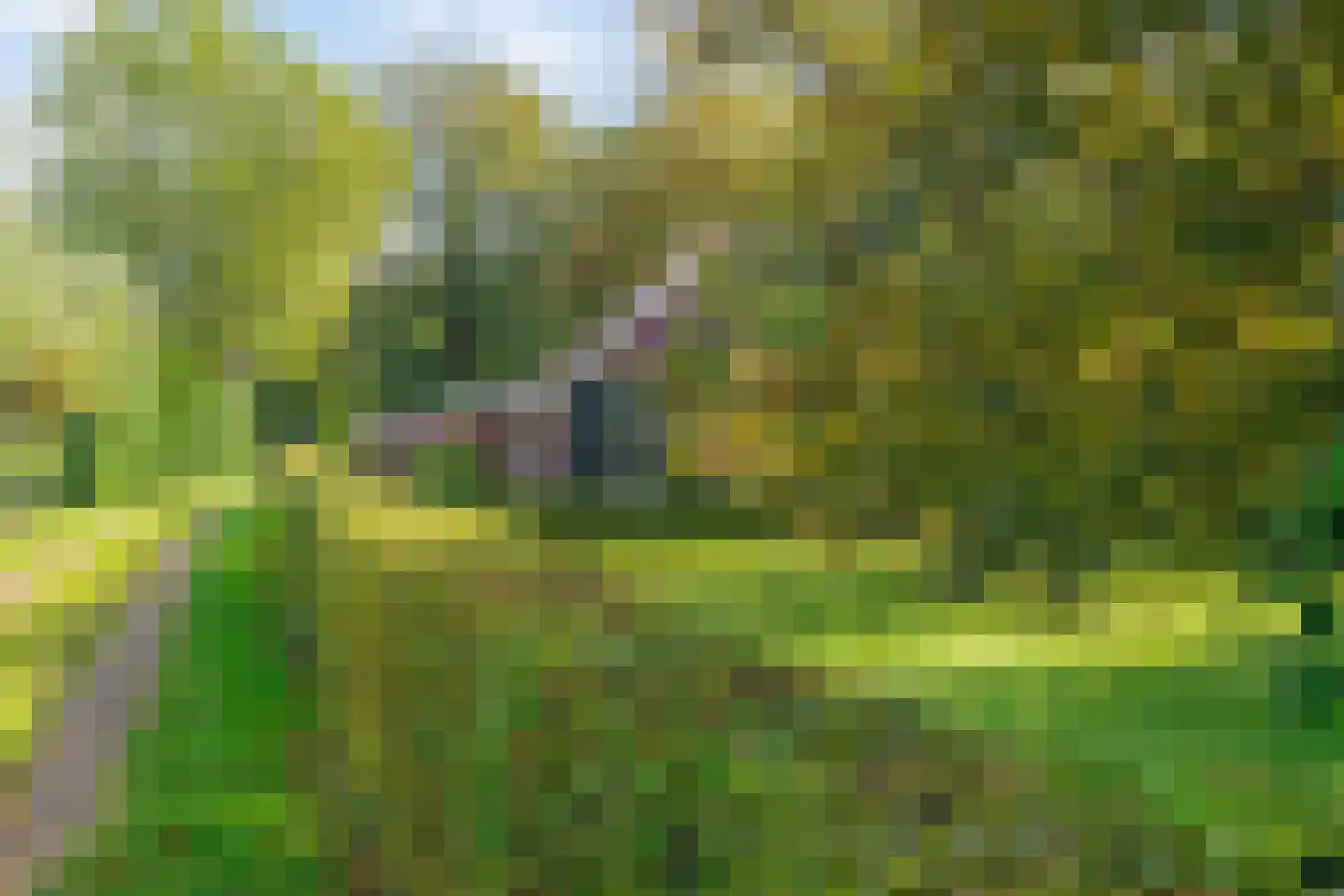 Honkerbosweg 4 De Heurne thumbnail 44