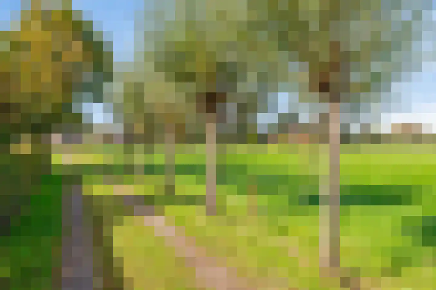 Honkerbosweg 4 De Heurne thumbnail 47