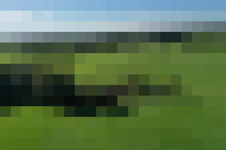 Honkerbosweg 4 De Heurne thumbnail 49