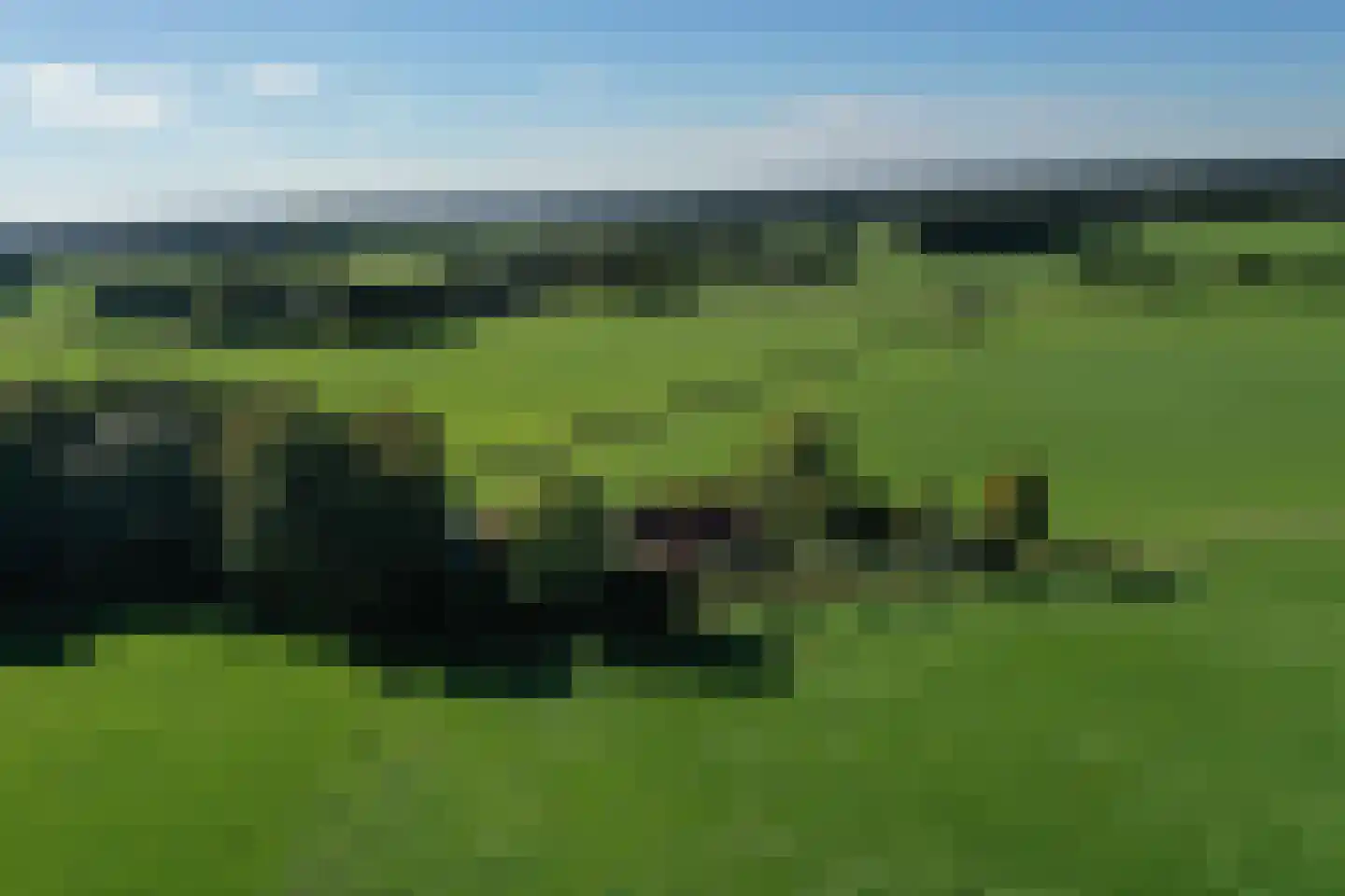 Honkerbosweg 4 De Heurne thumbnail 49