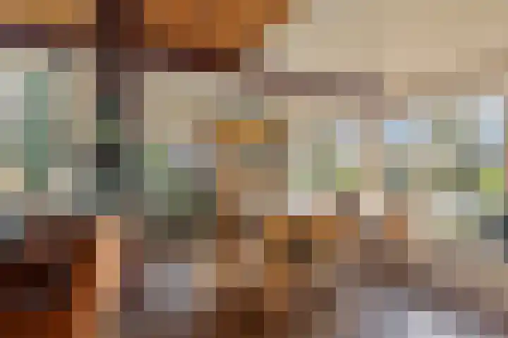 Honkerbosweg 4 De Heurne thumbnail 5