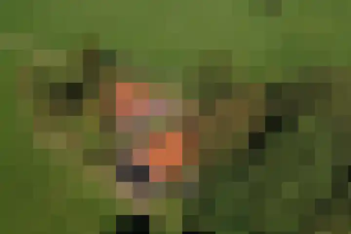 Honkerbosweg 4 De Heurne thumbnail 51