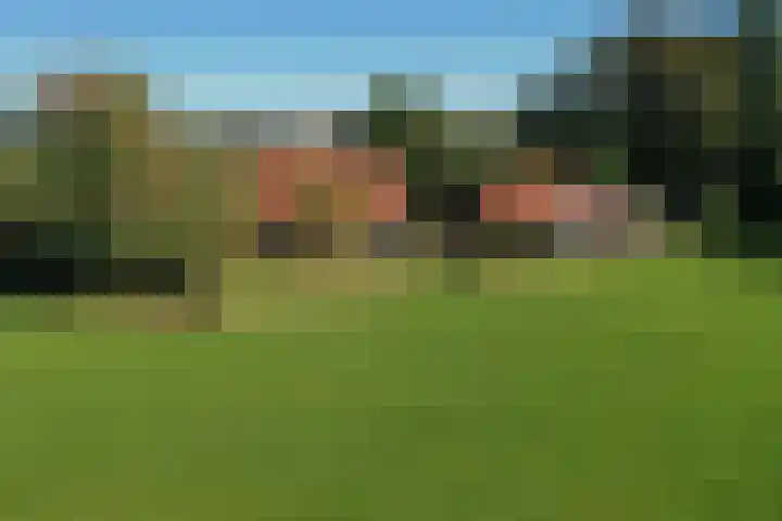 Honkerbosweg 4 De Heurne thumbnail 52