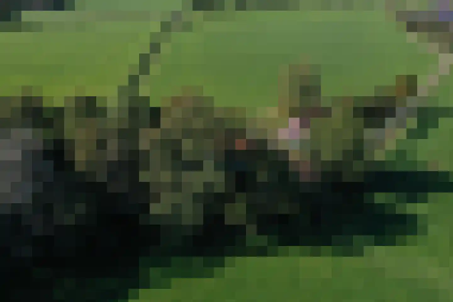 Honkerbosweg 4 De Heurne thumbnail 6