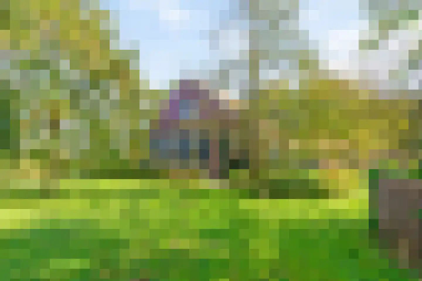 Honkerbosweg 4 De Heurne thumbnail 7