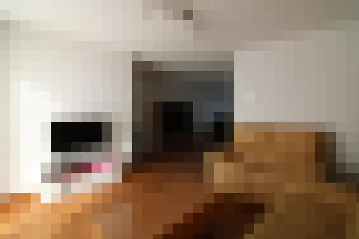 Honoré de Balzaclaan 10 Eindhoven thumbnail 5