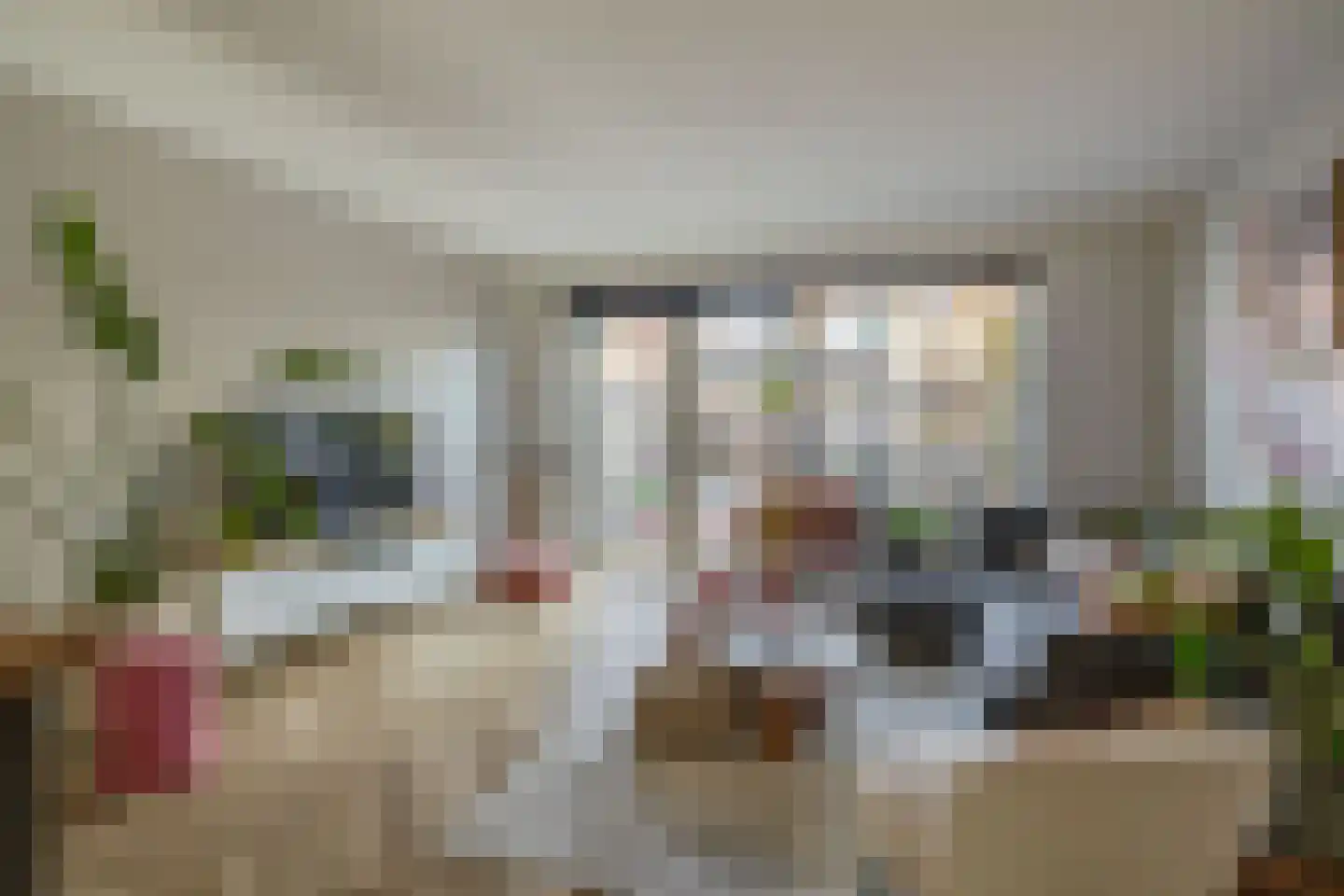Honselaarsdijkstraat 19 Zevenhuizen thumbnail 10