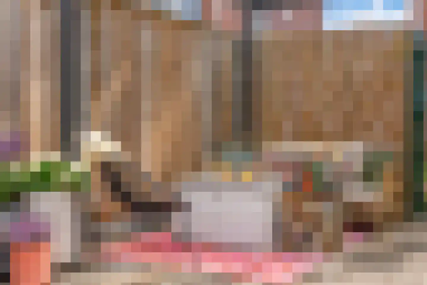 Honselaarsdijkstraat 19 Zevenhuizen thumbnail 11