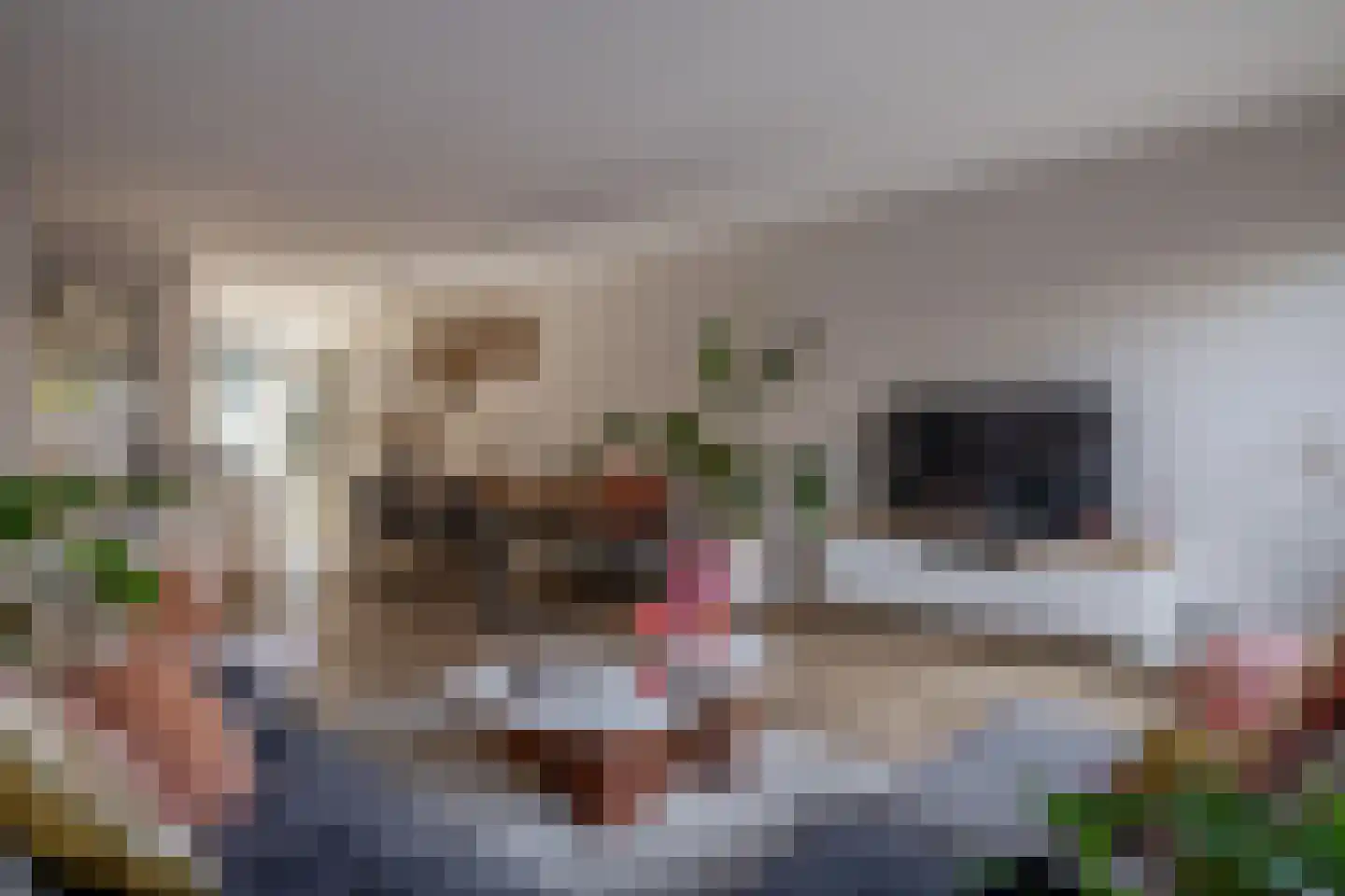 Honselaarsdijkstraat 19 Zevenhuizen thumbnail 18