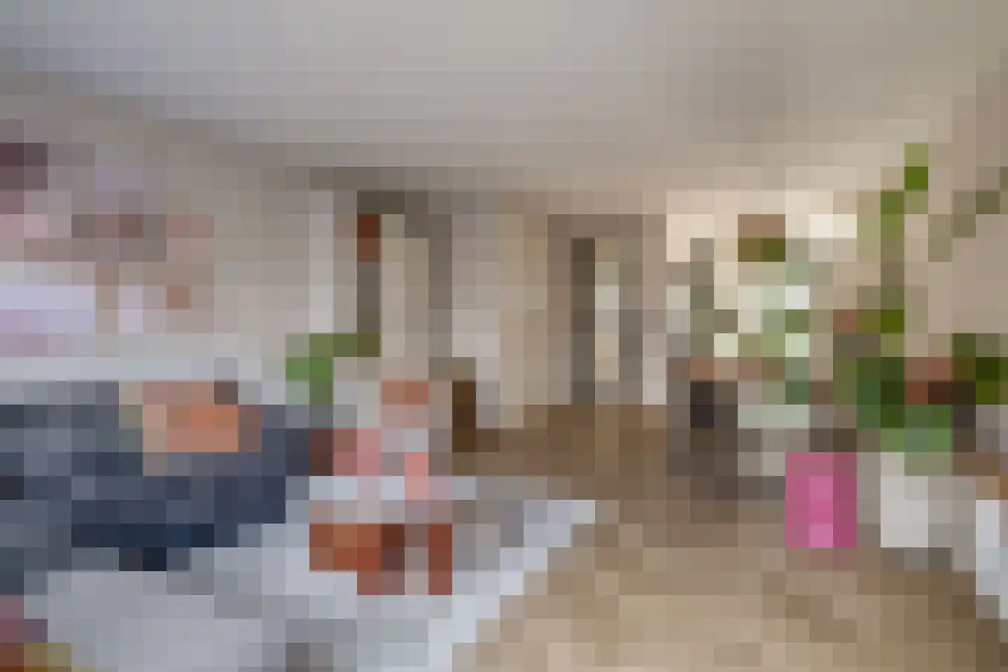 Honselaarsdijkstraat 19 Zevenhuizen thumbnail 20