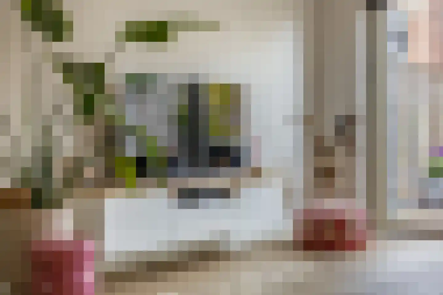 Honselaarsdijkstraat 19 Zevenhuizen thumbnail 21