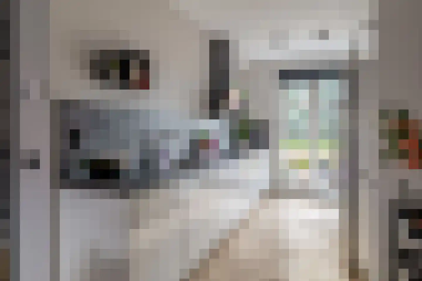 Honselaarsdijkstraat 19 Zevenhuizen thumbnail 23