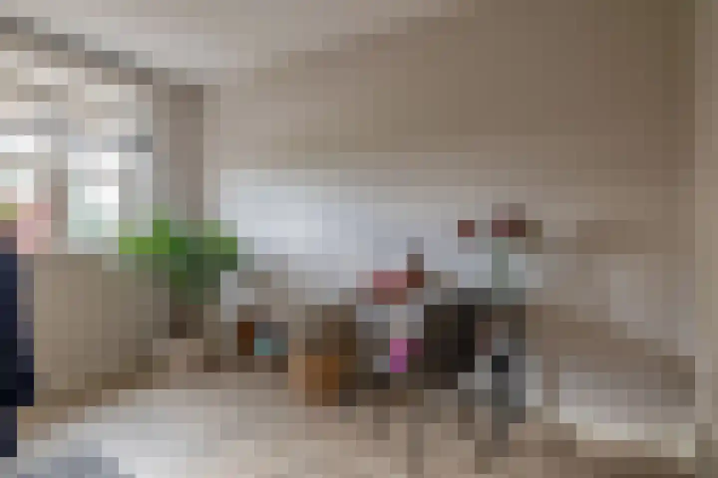 Honselaarsdijkstraat 19 Zevenhuizen thumbnail 26