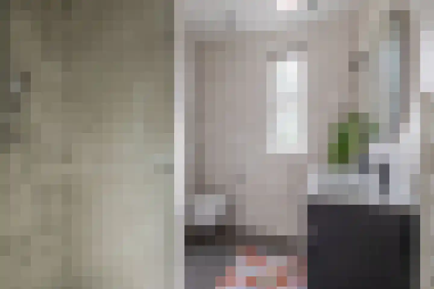 Honselaarsdijkstraat 19 Zevenhuizen thumbnail 28