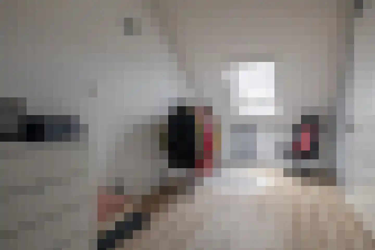 Honselaarsdijkstraat 19 Zevenhuizen thumbnail 29