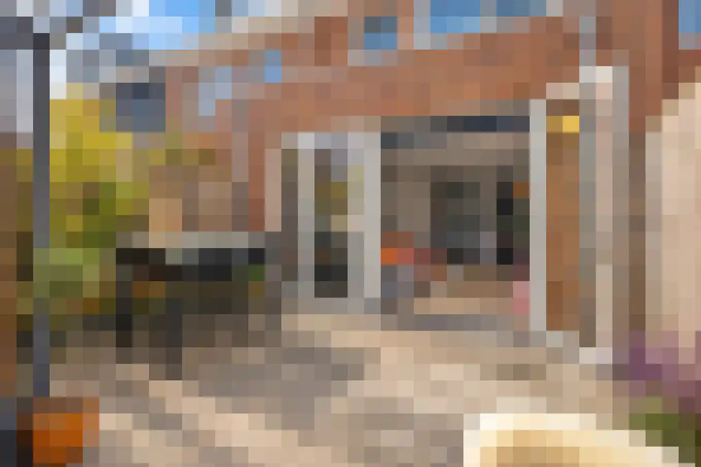 Honselaarsdijkstraat 19 Zevenhuizen thumbnail 31