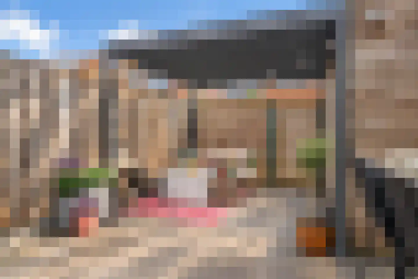 Honselaarsdijkstraat 19 Zevenhuizen thumbnail 32