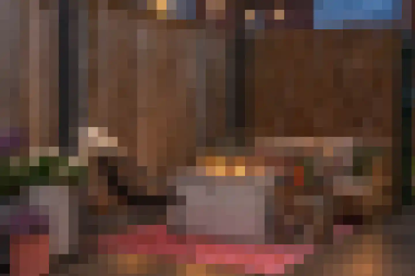 Honselaarsdijkstraat 19 Zevenhuizen thumbnail 34
