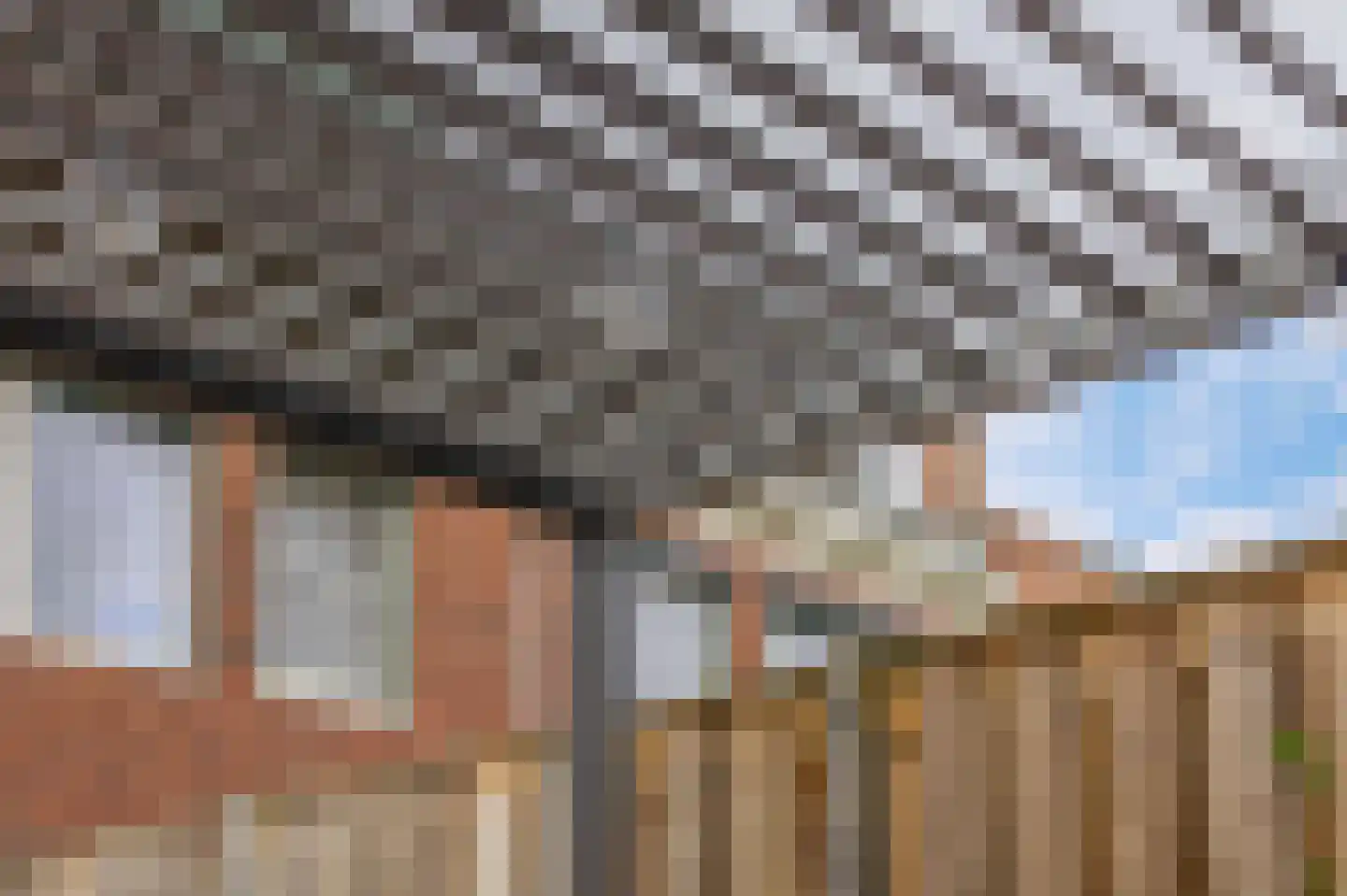 Honselaarsdijkstraat 19 Zevenhuizen thumbnail 35