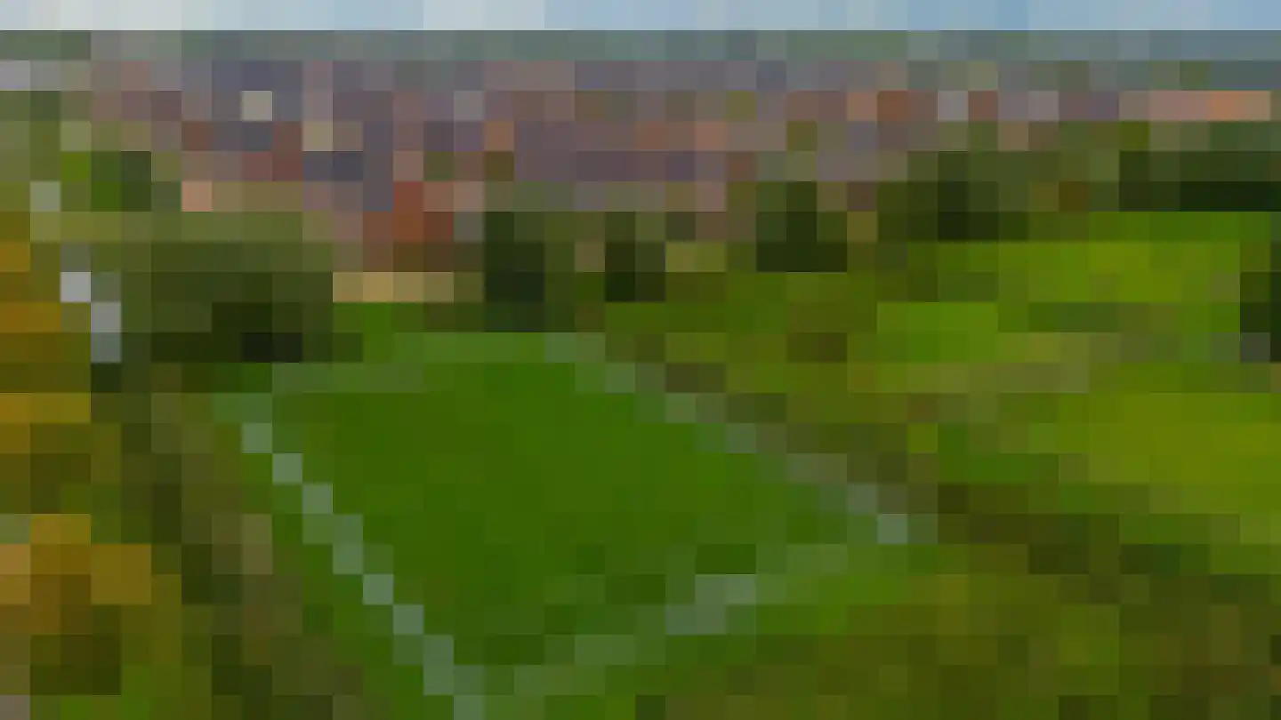 Honselaarsdijkstraat 19 Zevenhuizen thumbnail 43