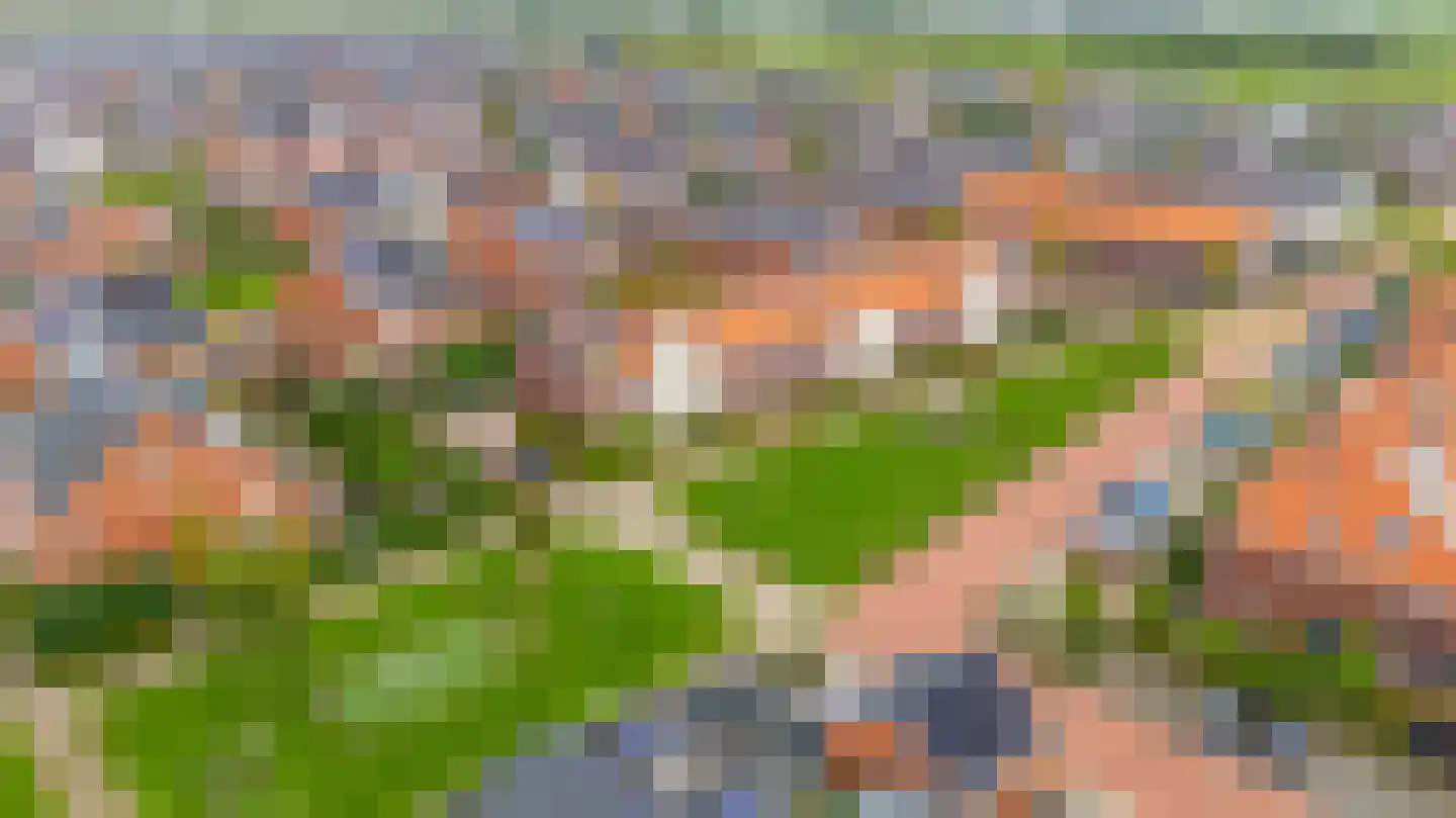 Honselaarsdijkstraat 19 Zevenhuizen thumbnail 47