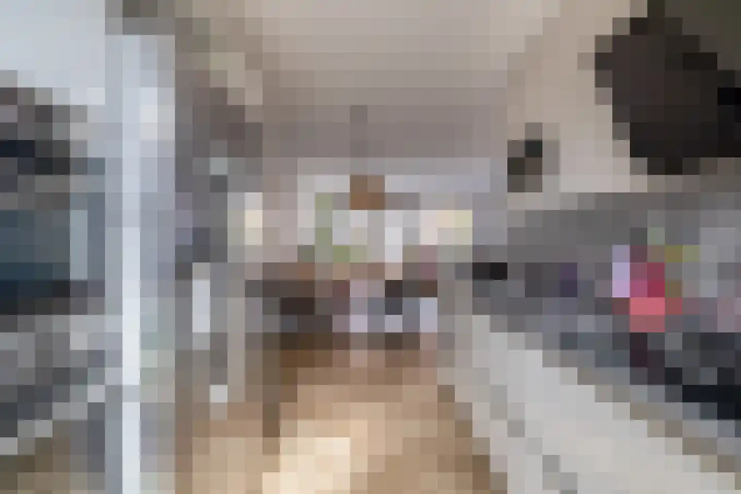Honselaarsdijkstraat 19 Zevenhuizen thumbnail 5