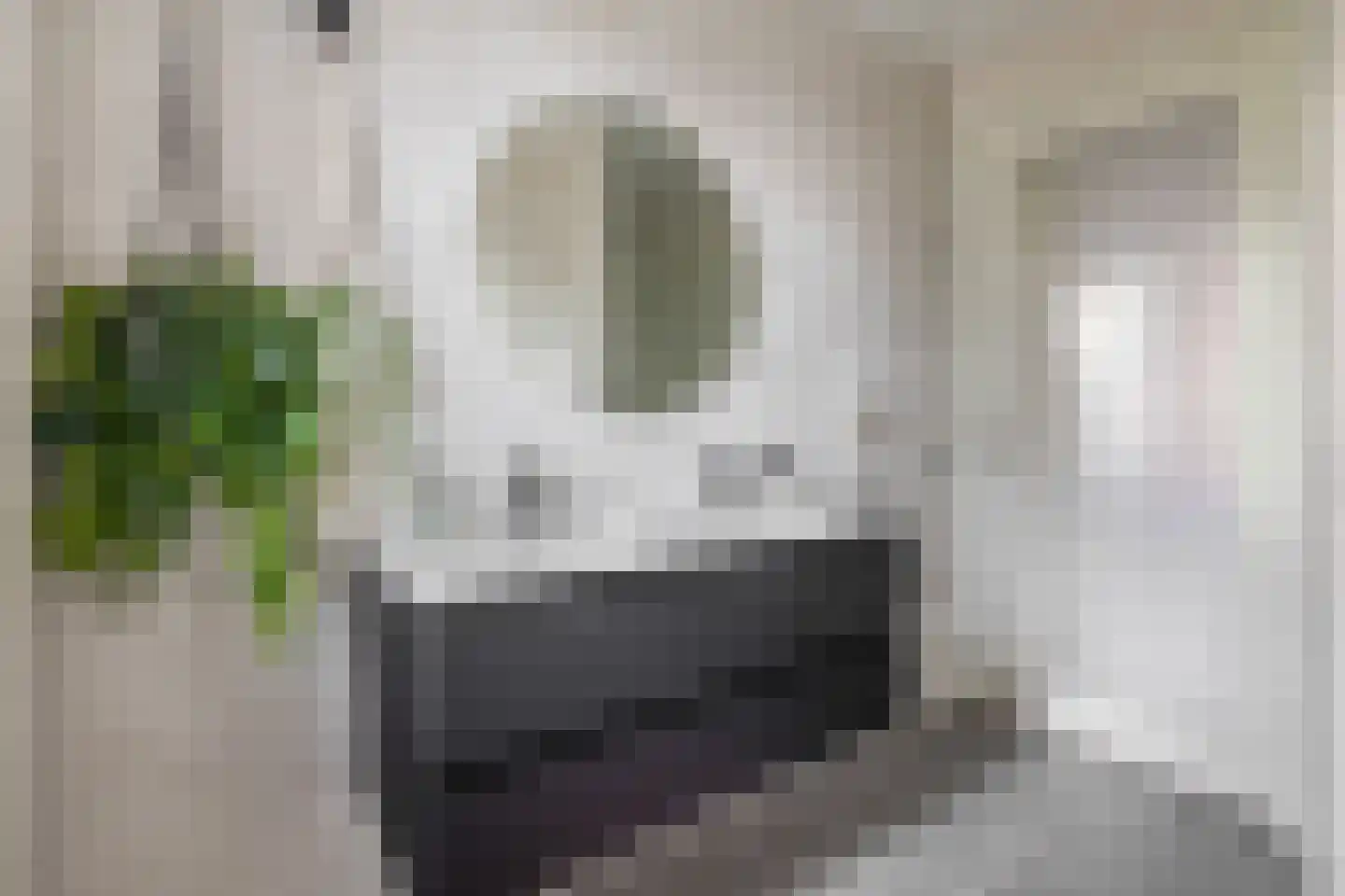 Honselaarsdijkstraat 19 Zevenhuizen thumbnail 6