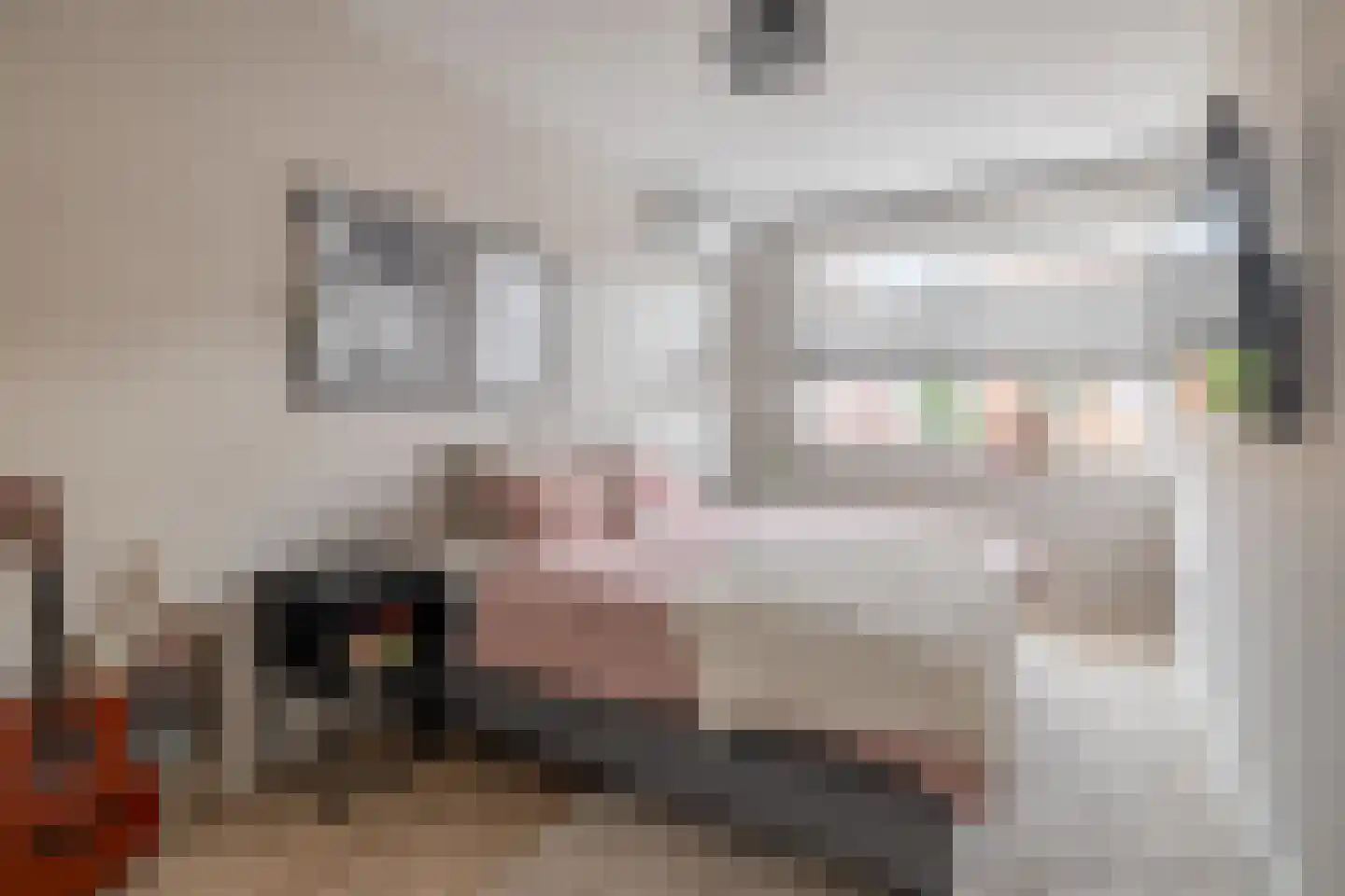 Honselaarsdijkstraat 19 Zevenhuizen thumbnail 7