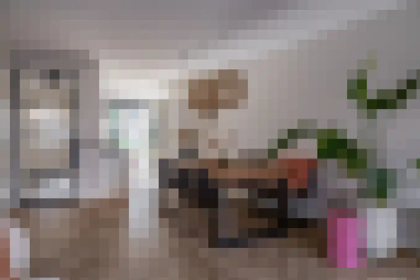 Honselaarsdijkstraat 19 Zevenhuizen thumbnail 9