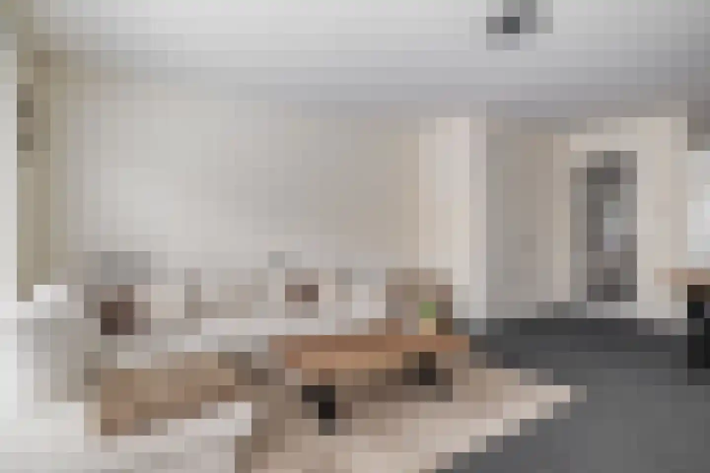 Honselaarsdijkstraat 23 Zevenhuizen thumbnail 10