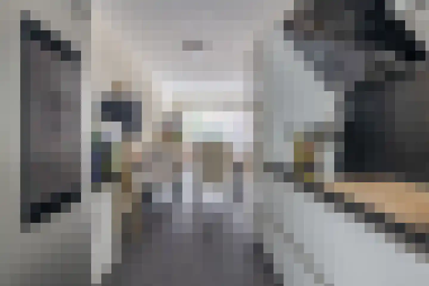Honselaarsdijkstraat 23 Zevenhuizen thumbnail 12