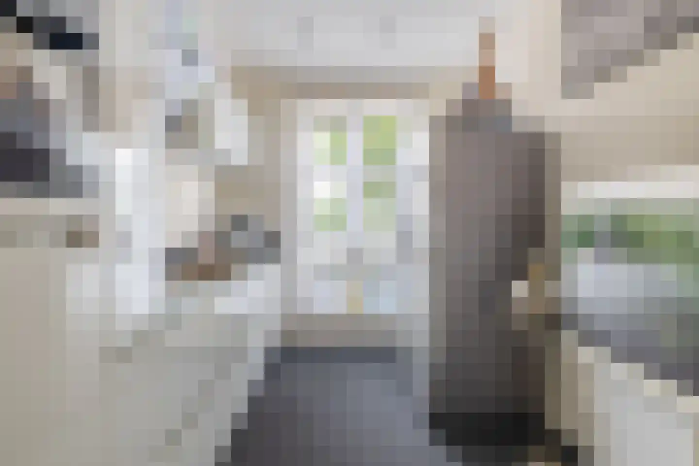 Honselaarsdijkstraat 23 Zevenhuizen thumbnail 12