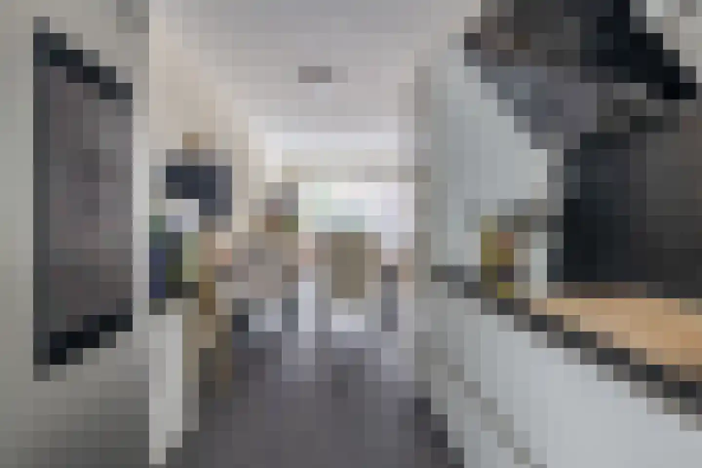 Honselaarsdijkstraat 23 Zevenhuizen thumbnail 13