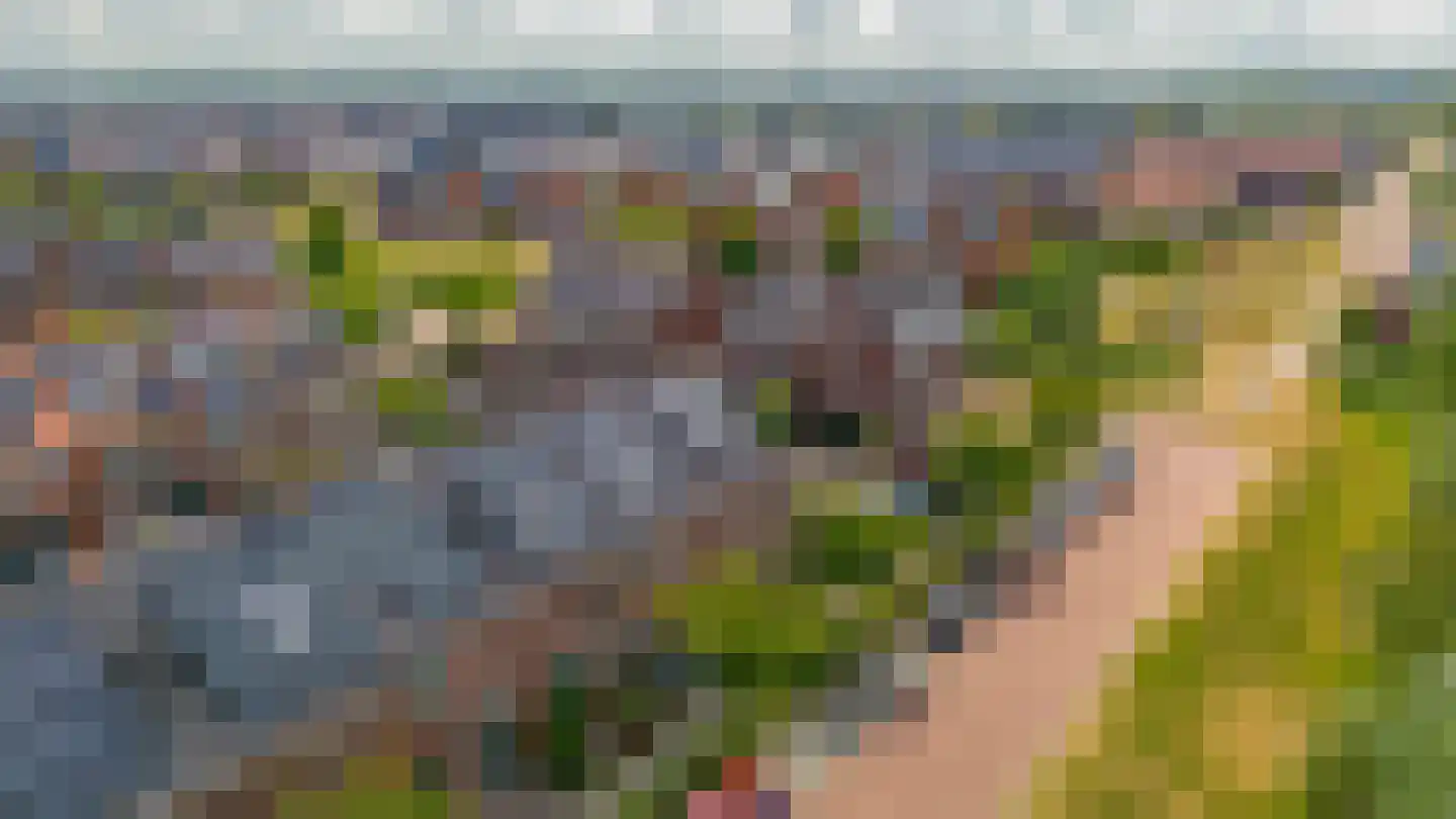 Honselaarsdijkstraat 23 Zevenhuizen thumbnail 4