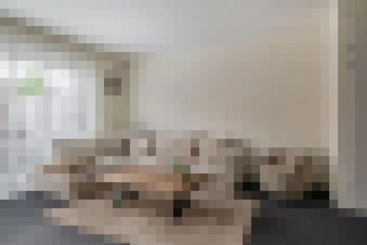Honselaarsdijkstraat 23 Zevenhuizen thumbnail 9