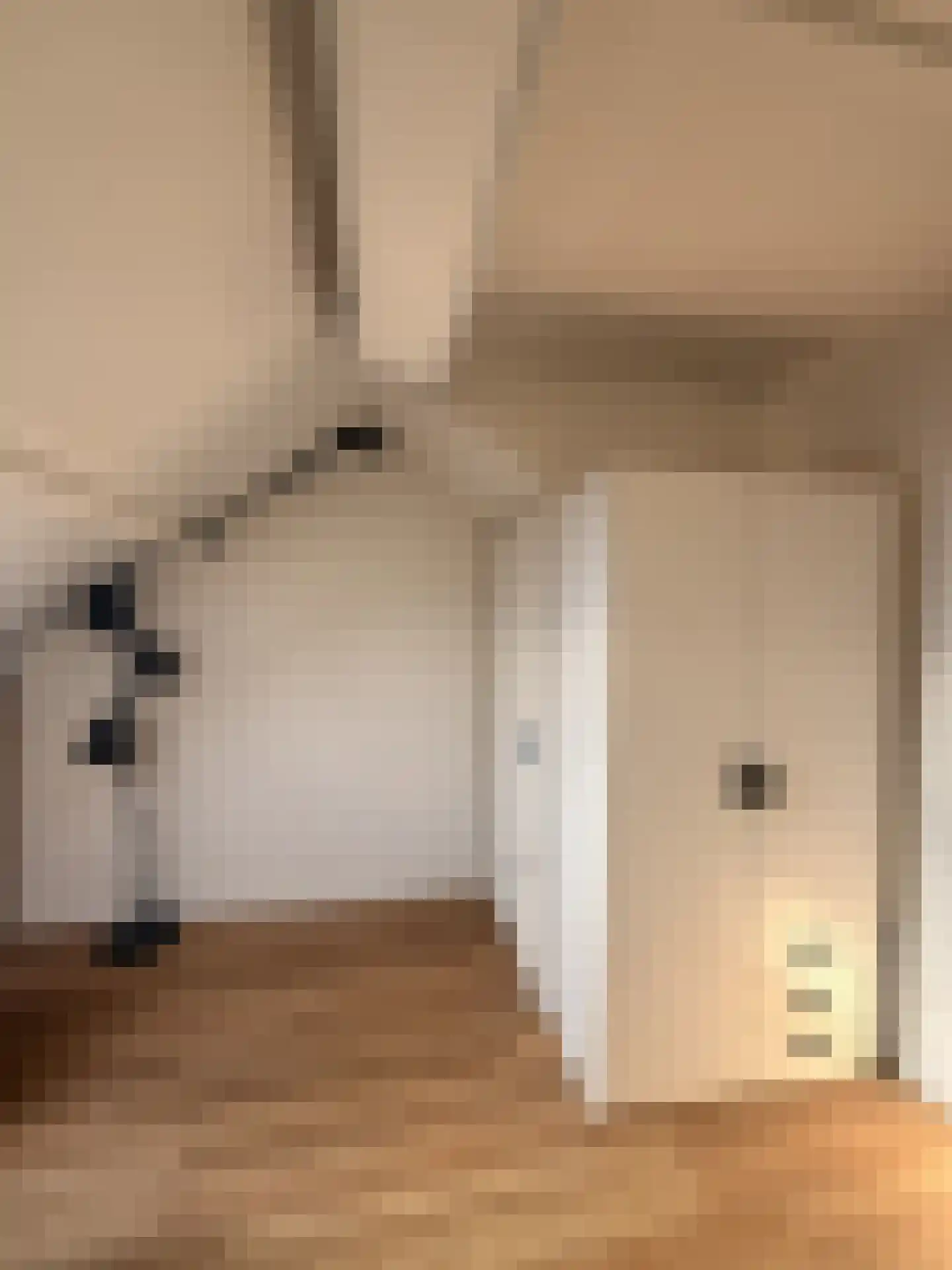 Honselersdijkstraat 12 1 Amsterdam thumbnail 20