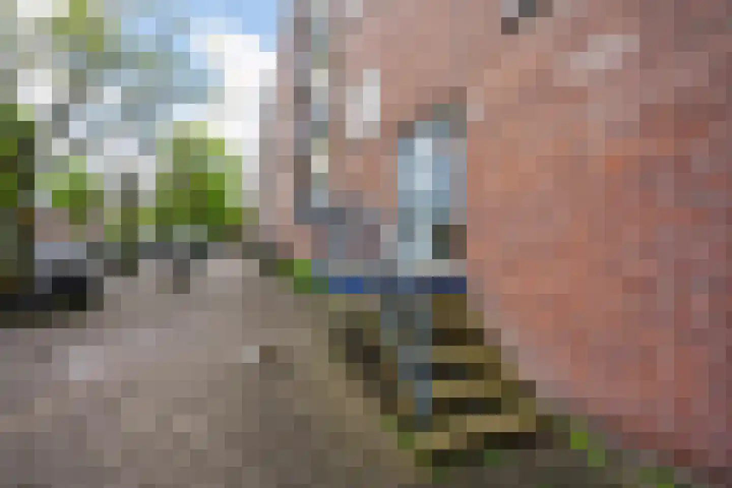 Honselersdijkstraat 14 4 Amsterdam thumbnail 23