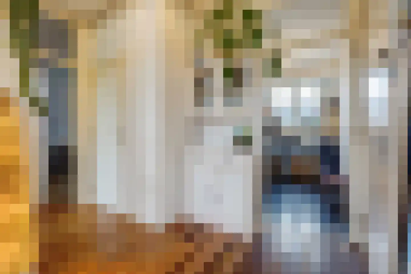 Honselersdijkstraat 14 4 Amsterdam thumbnail 7