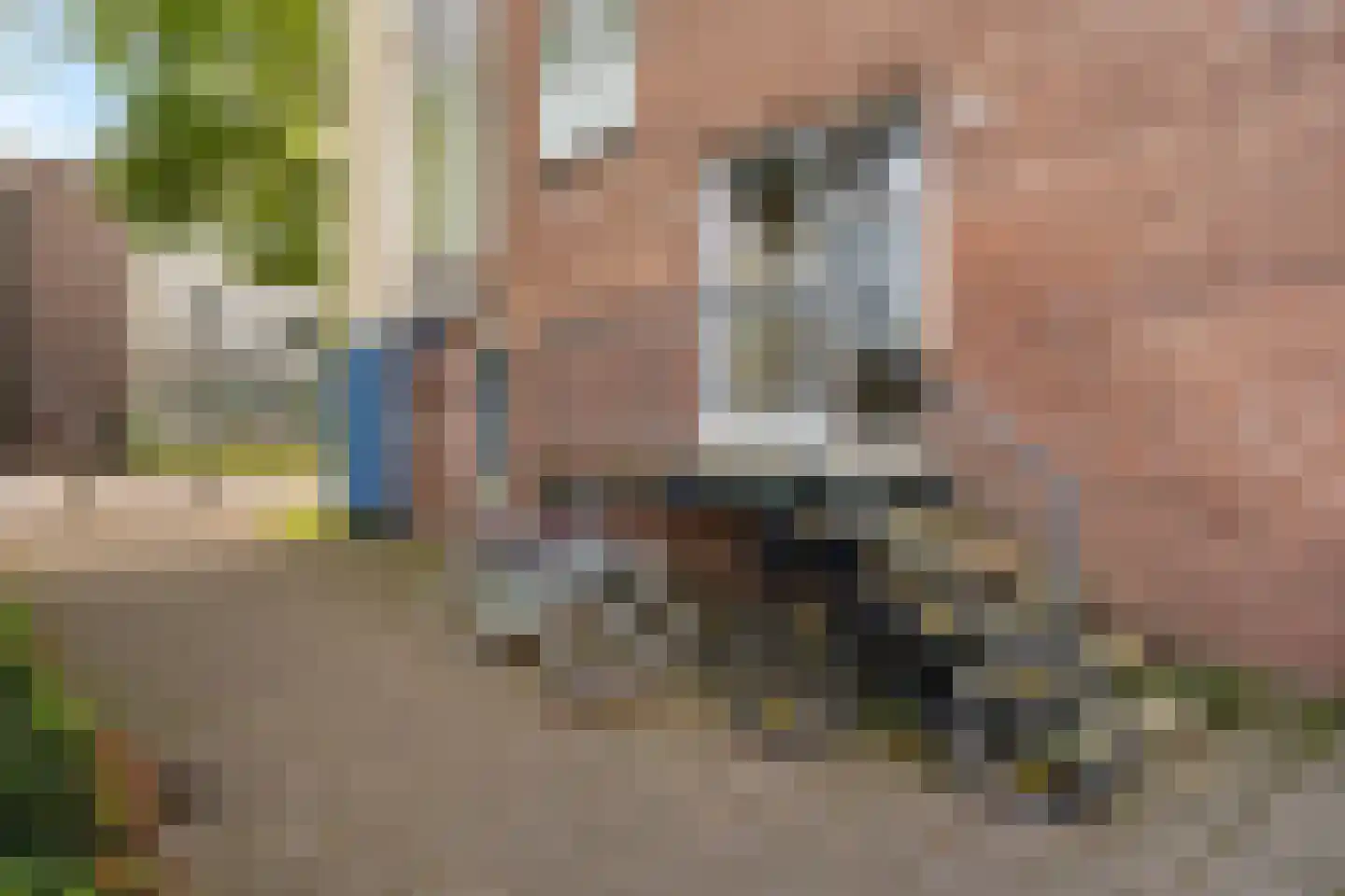 Honselersdijkstraat 30 4 Amsterdam thumbnail 34