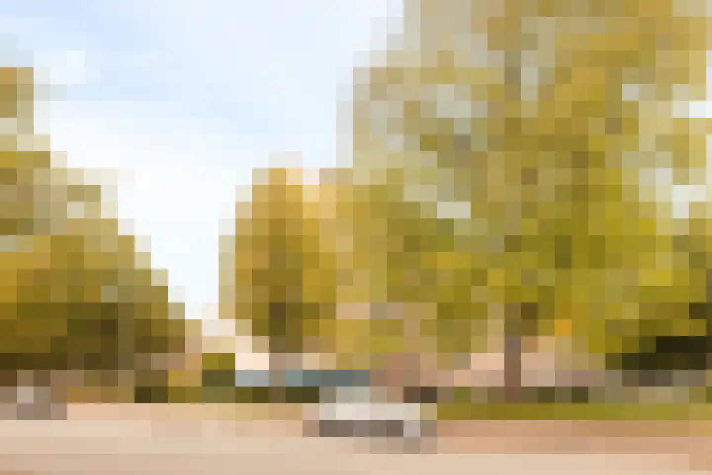 Honselersdijkstraat 32 3 Amsterdam thumbnail 19