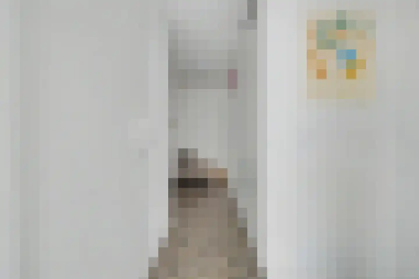 Honselersdijkstraat 84 Den Haag thumbnail 6