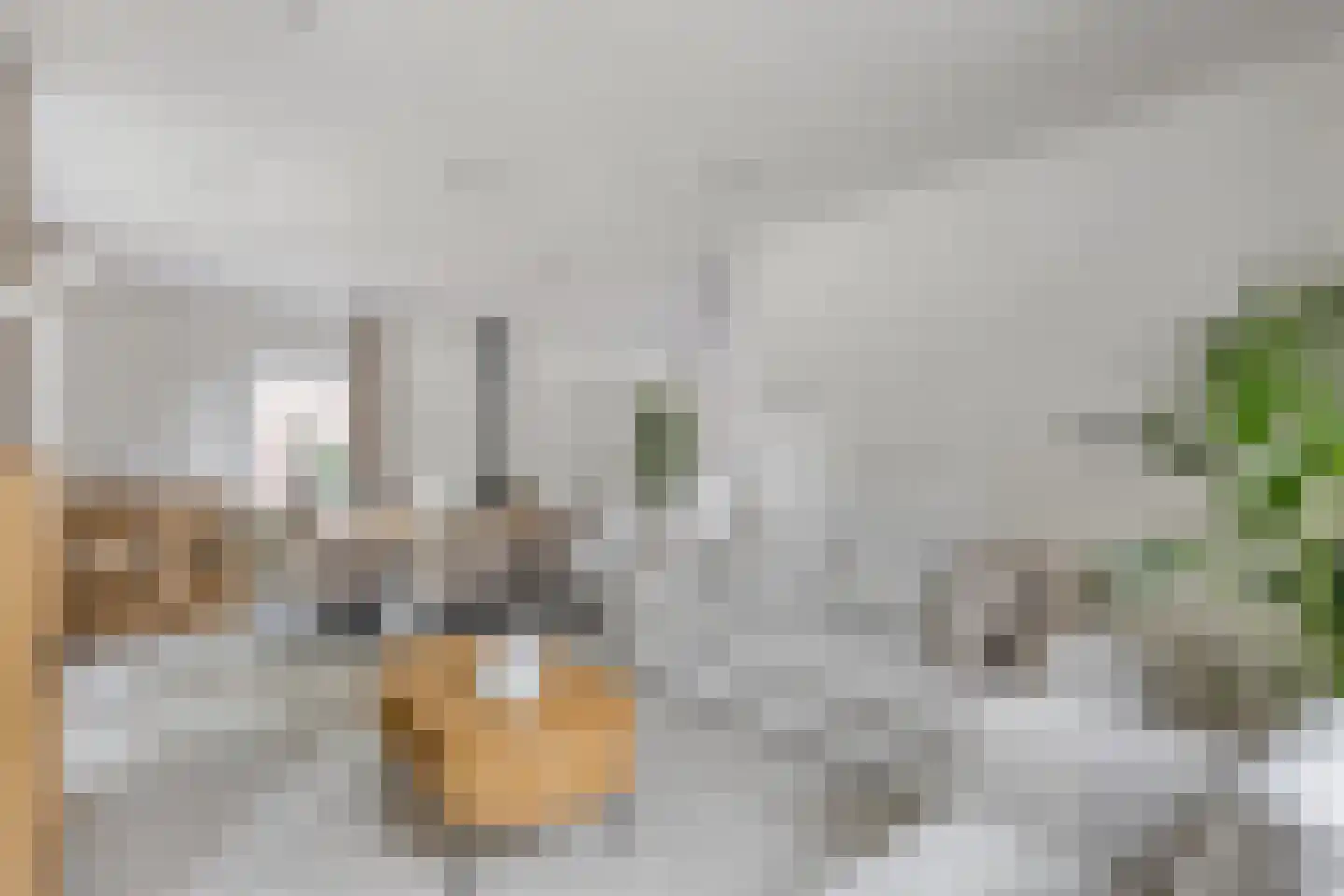 Honskamperweg 52 Lunteren thumbnail 11